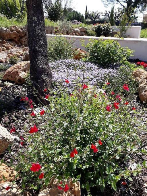 Maison 2 Ou 4 Personnes Jardin Parking Les Amandiers Lorgues Dış mekan fotoğraf